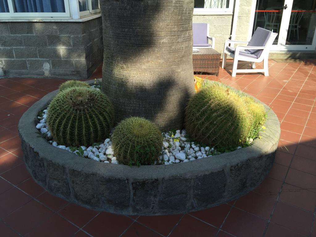 Hotel Villa Al Parco Forio di Ischia 外观 照片